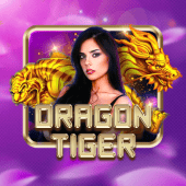 ok plus live casino Dragon Tiger icon